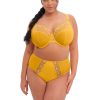 Lingerie & Intimates Sheer-essentials Plus Size | Elomi Matilda Plunge Bra - Daisy