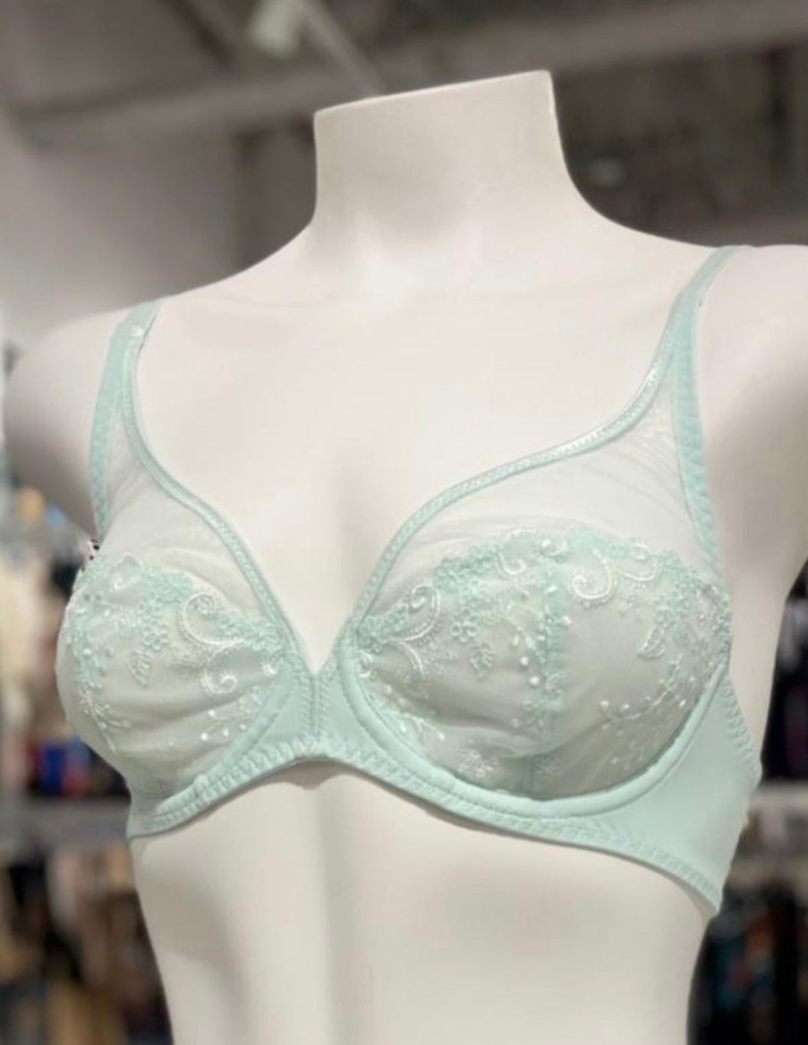 Lingerie & Intimates Sheer-essentials Underwire | Delice Full Coverage Plunge Bra