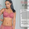 Lingerie & Intimates Sheer-essentials Underwire | Elise Moulded Bra - Canyon Rose