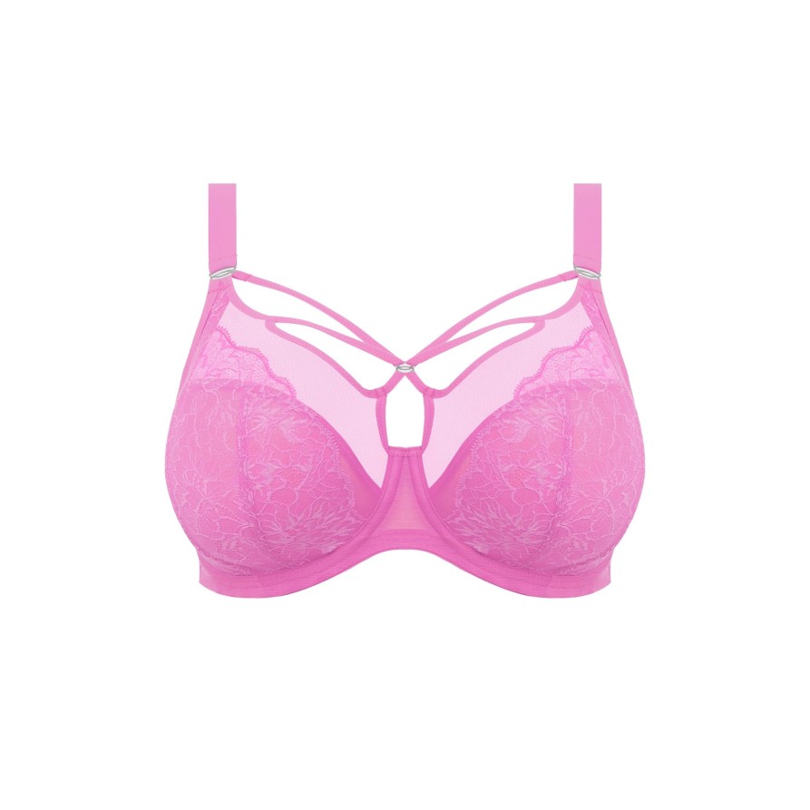 Lingerie & Intimates Sheer-essentials Underwire | Elomi Brianna Plunge Bra - Very Pink