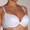 Lingerie & Intimates Sheer-essentials Underwire | Grenier Padded Plunge Bra