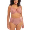 Lingerie & Intimates Sheer-essentials Underwire | Elomi Brianna Plunge Bra - Ash Rose